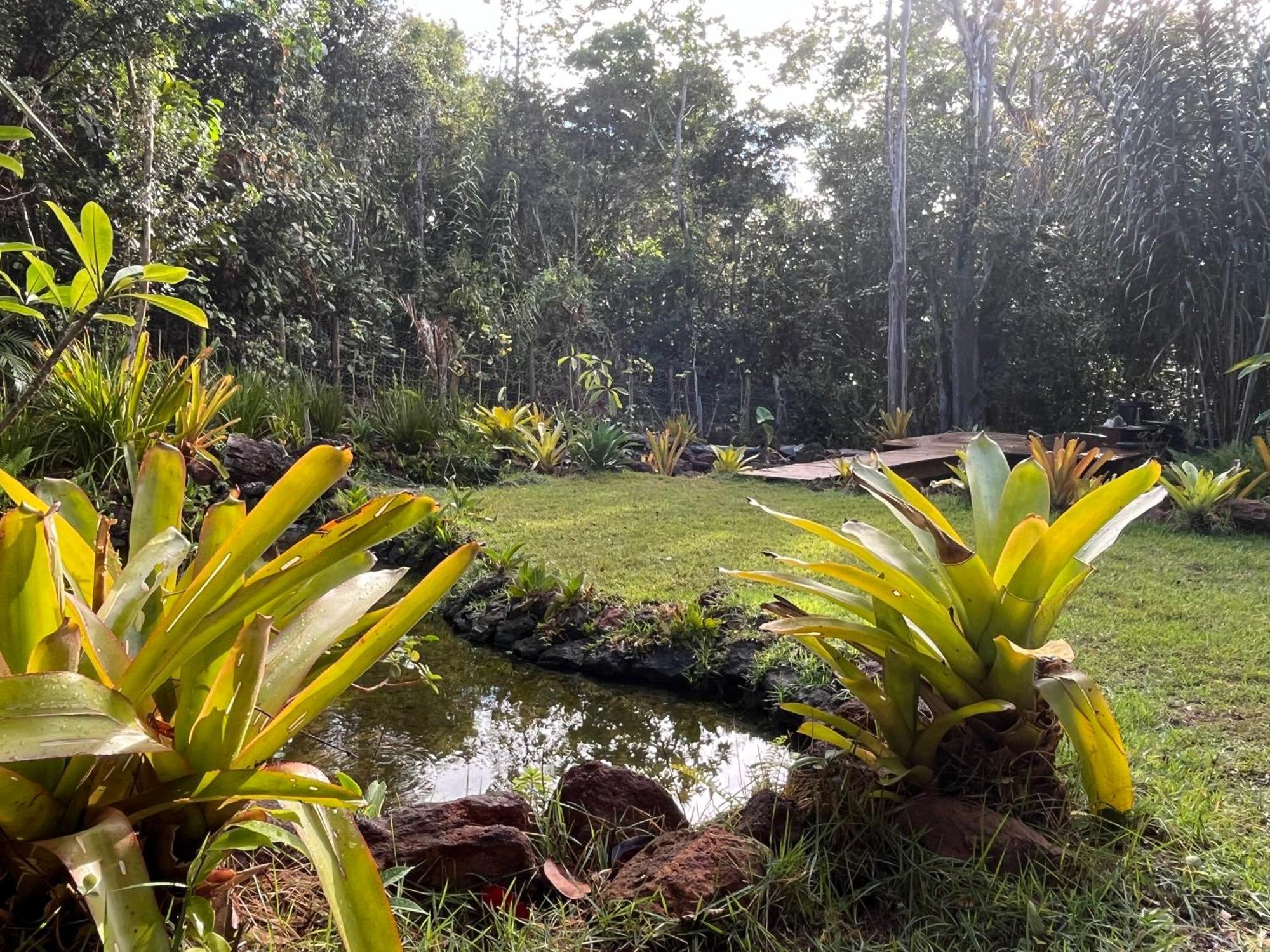 Quinta Do Sossego Otel Mata de Sao Joao Dış mekan fotoğraf