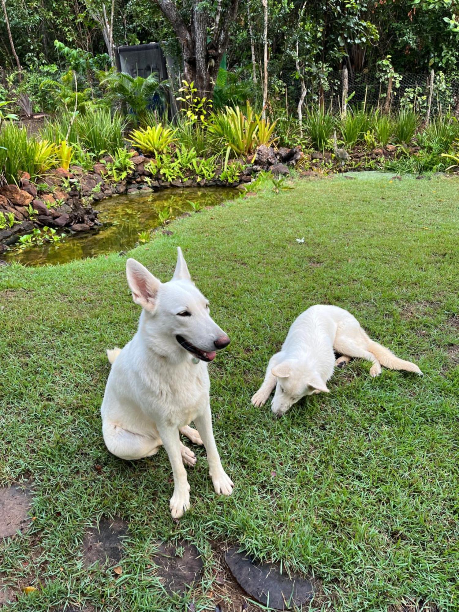 Quinta Do Sossego Otel Mata de Sao Joao Dış mekan fotoğraf